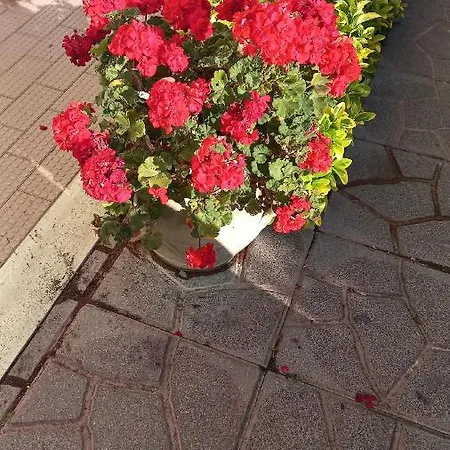 Domus Claudio Garden * Fiumicino