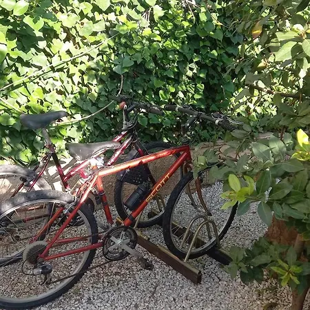 Domus Claudio Garden